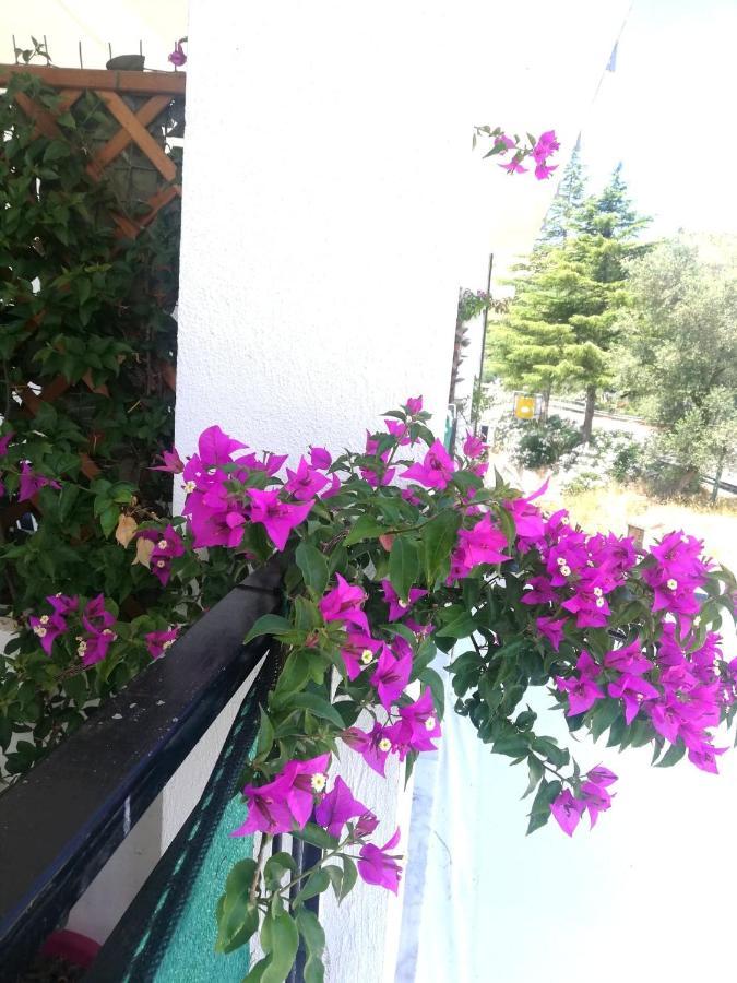 Quadruple Room Balcony